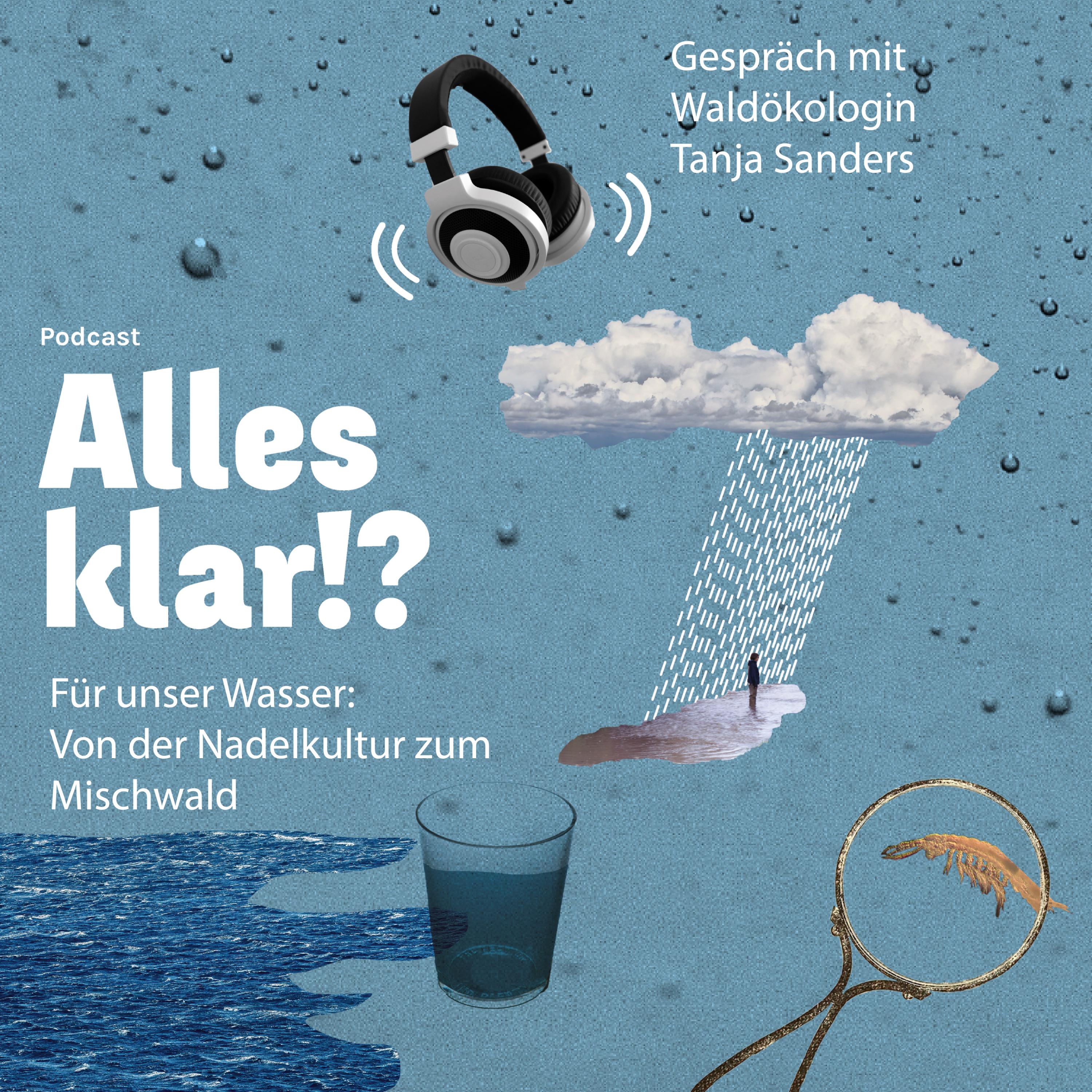 Für unser Wasser: Von der Nadelkultur zum Mischwald episode artwork