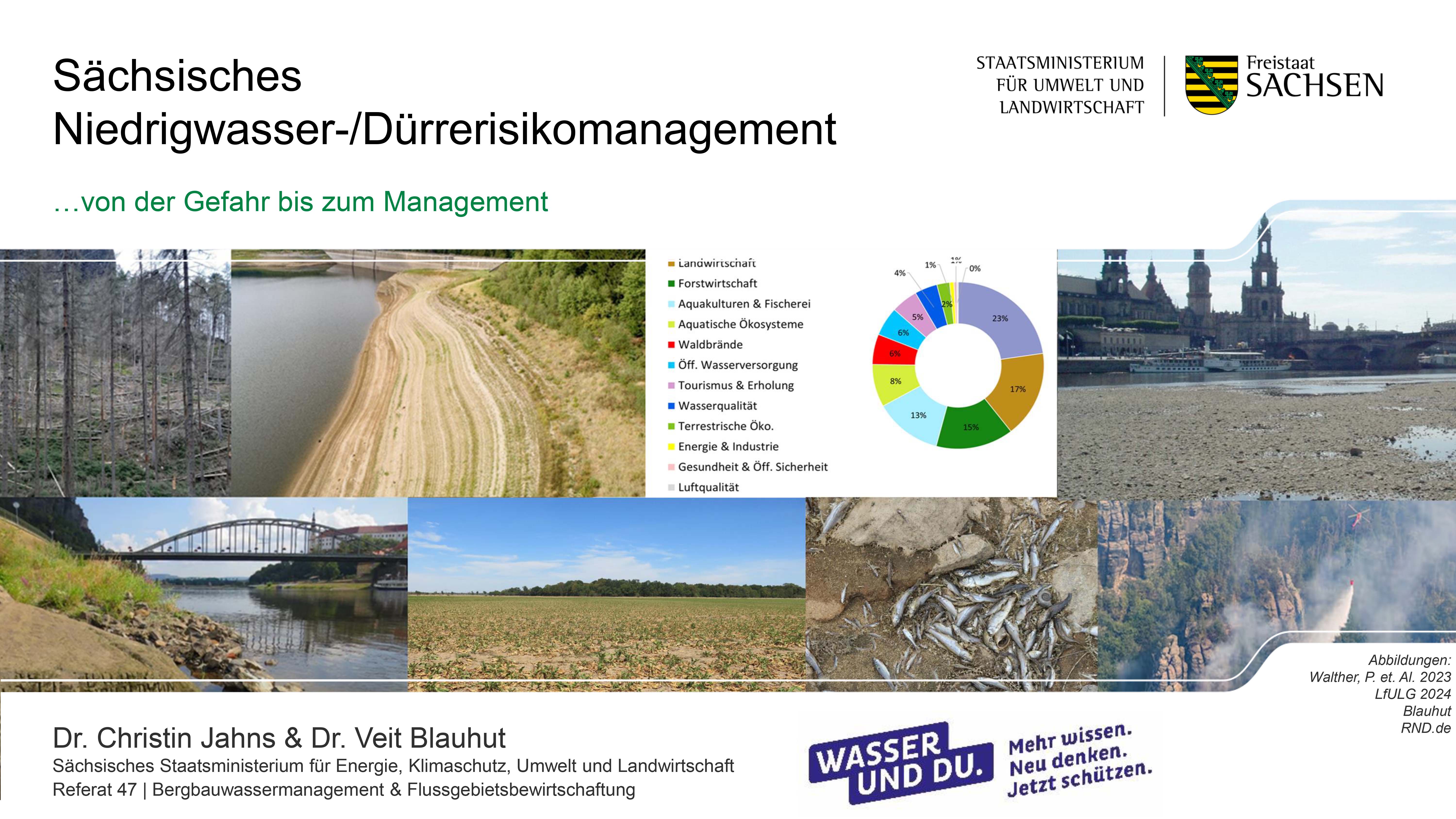 Verschiedene Fotos mit Dürresituationen in Sachsen