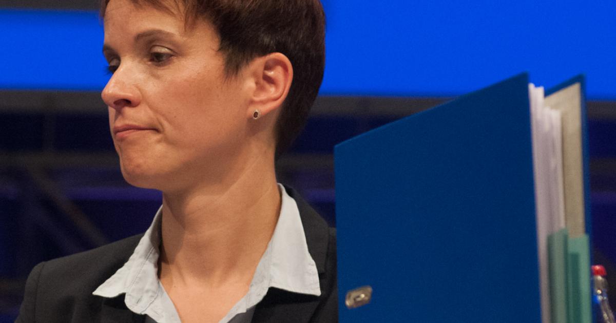 Wer Hat Die Afd Gegründet
